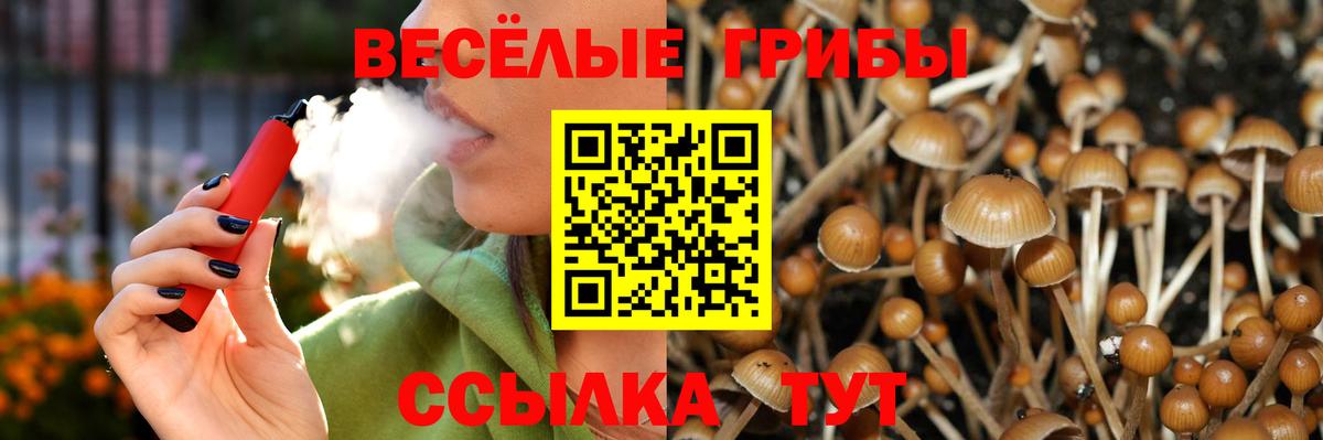 Железногорск  Галлюциногенные грибы Magic Shrooms  Псилоцибиновые грибы ЛСД  Вход с VPN 